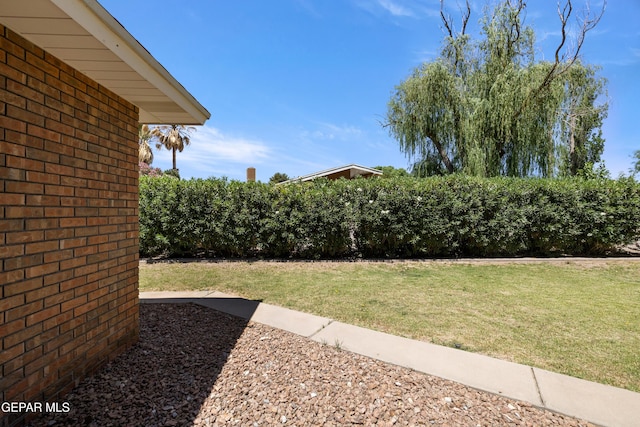 5445 Connors Ln, El Paso, TX 79932 - view of green lawn