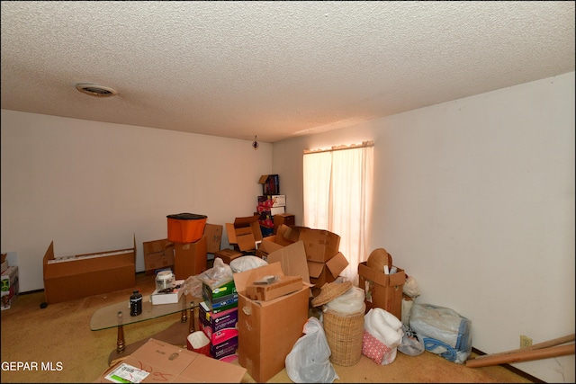 312 Caporal Ct, El Paso, TX 79932 - view of storage area