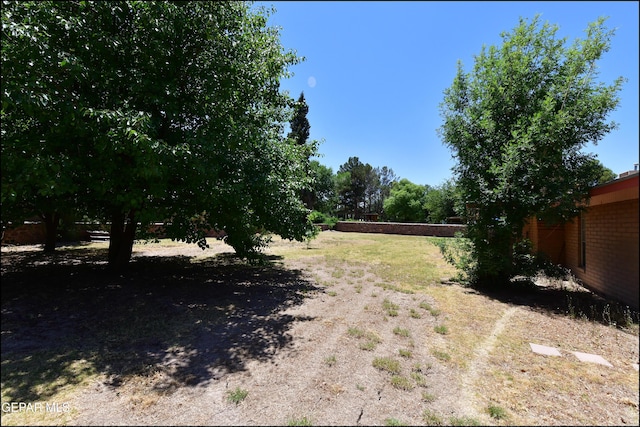 312 Caporal Ct, El Paso, TX 79932 - view of yard