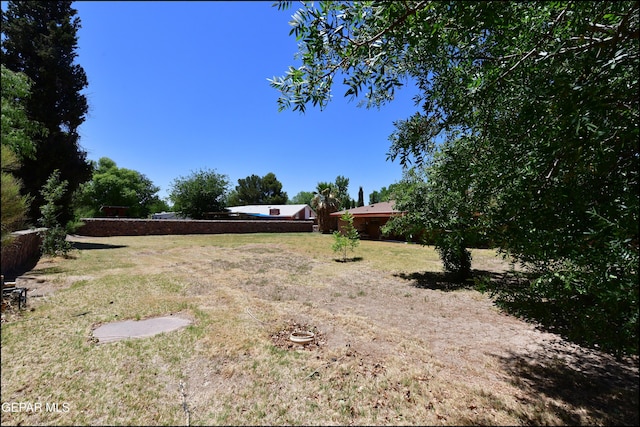 312 Caporal Ct, El Paso, TX 79932 - view of yard