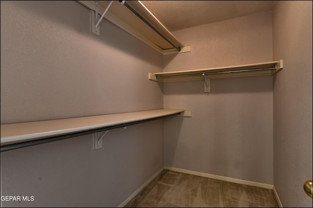 6609 El Poste Ct, El Paso, TX 79912 - walk in closet featuring carpet