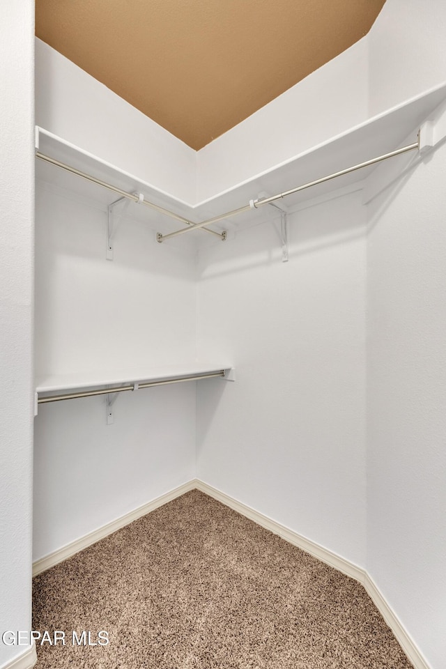 3199 Red Maple Dr, El Paso, TX 79938 - walk in closet with carpet flooring