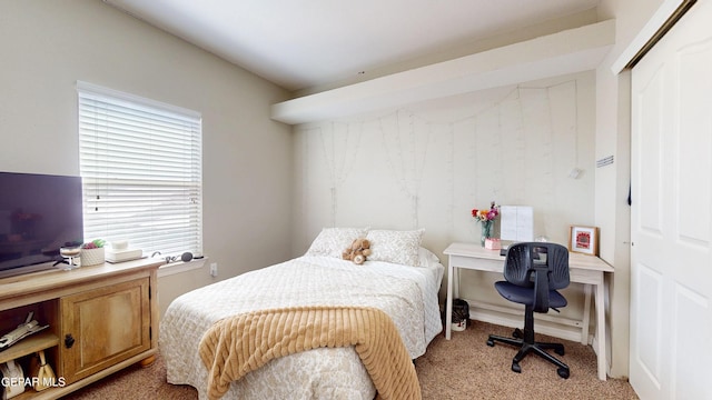 5712 Valley Lilac Ln, El Paso, TX 79932 - bedroom with light colored carpet, a desk, and a closet