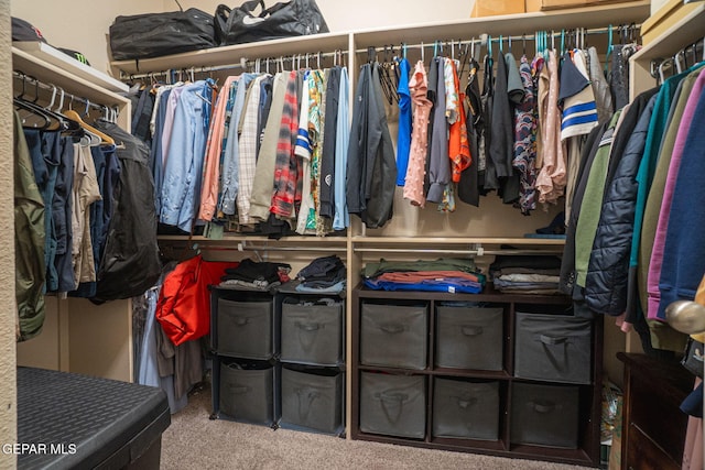 2221 Furtherpoint Pl, El Paso, TX 79911 - spacious closet featuring carpet flooring