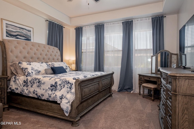 13436 Emerald Crystal Dr, El Paso, TX 79928 - carpeted bedroom with multiple windows