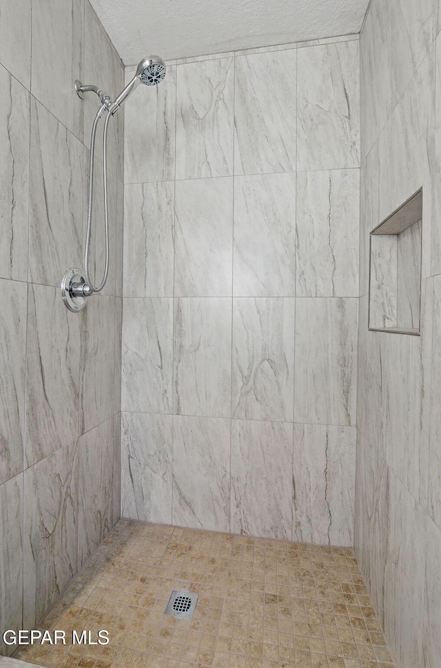 10224 Galahad Way, El Paso, TX 79924 - bathroom with tiled shower