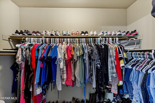 14196 Greg Allen, El Paso, TX 79938 - view of spacious closet