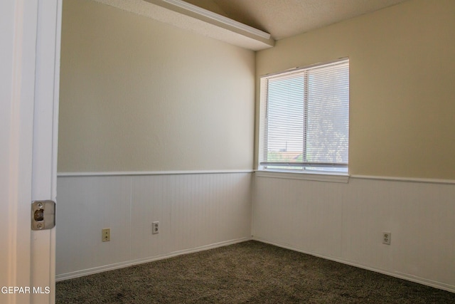 11896 Crimson Sky Dr, El Paso, TX 79936 - unfurnished room with wainscoting and dark carpet