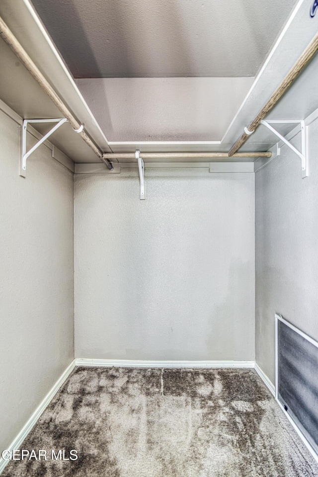 11352 Bullseye St, El Paso, TX 79934 - spacious closet with carpet floors