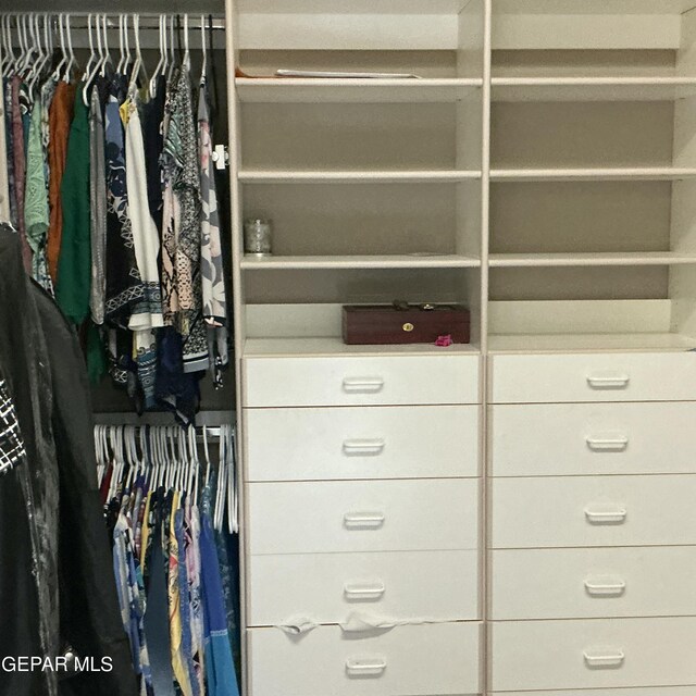 729 Cinnamon Teal Cir, El Paso, TX 79932 - view of closet
