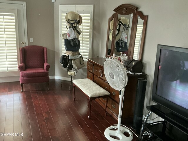 729 Cinnamon Teal Cir, El Paso, TX 79932 - sitting room with plenty of natural light, wood finished floors, and baseboards