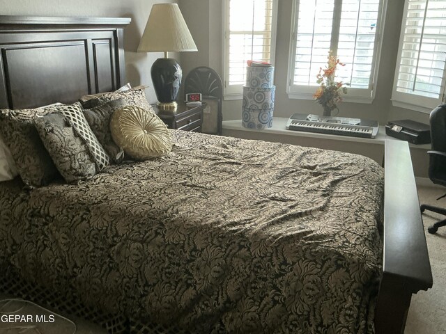 729 Cinnamon Teal Cir, El Paso, TX 79932 - bedroom with multiple windows