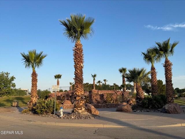 729 Cinnamon Teal Cir, El Paso, TX 79932 - view of front of house