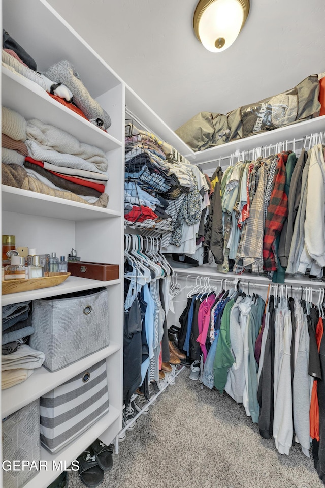 13936 Garforth Ave, El Paso, TX 79928 - spacious closet with carpet