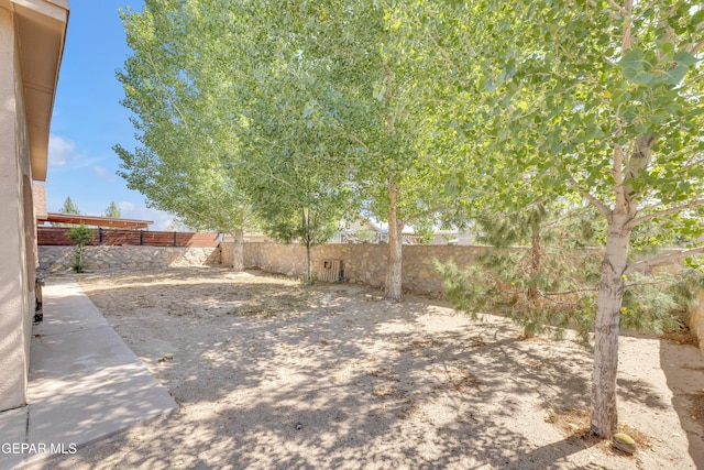 11590 Flor Liatris Dr, Socorro, TX 79927 - view of fenced backyard