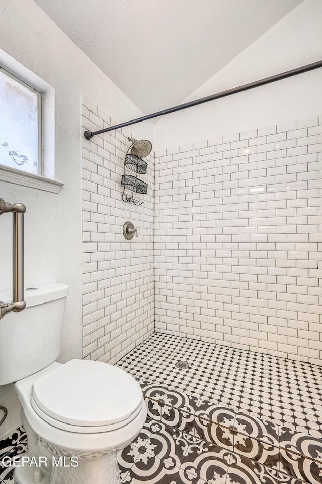 11513 Cree Ct, El Paso, TX 79936 - full bath with a stall shower, toilet, and vaulted ceiling