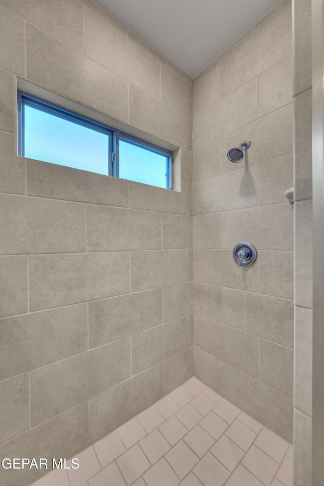 13676 Lago Vista Ave, Horizon City, TX 79928 - bathroom with a tile shower and plenty of natural light
