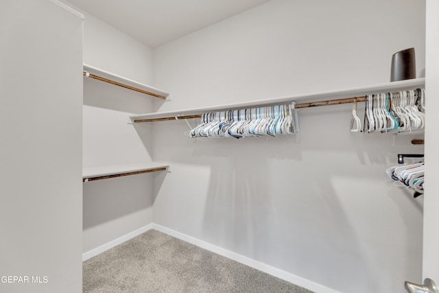 13676 Lago Vista Ave, Horizon City, TX 79928 - walk in closet with carpet floors