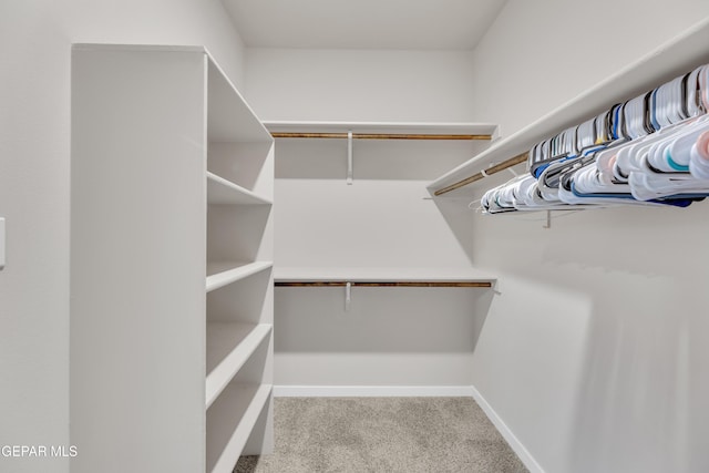 13676 Lago Vista Ave, Horizon City, TX 79928 - spacious closet featuring carpet