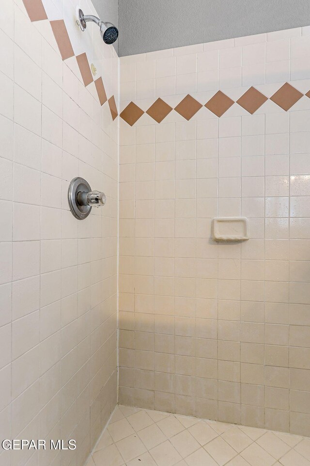 14025 Stoutland Ln, El Paso, TX 79928 - full bathroom featuring a tile shower