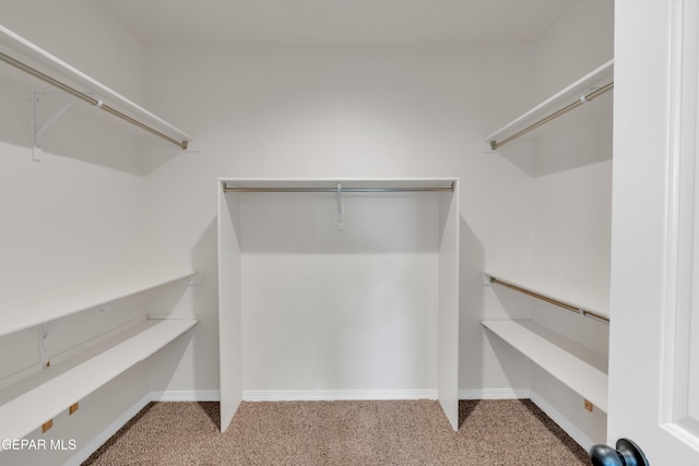 12776 Runway Ave, El Paso, TX 79928 - spacious closet with carpet