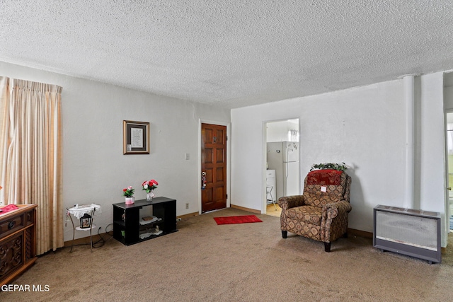 211 Green Haven Pl, El Paso, TX 79907 - sitting room featuring a textured ceiling and carpet