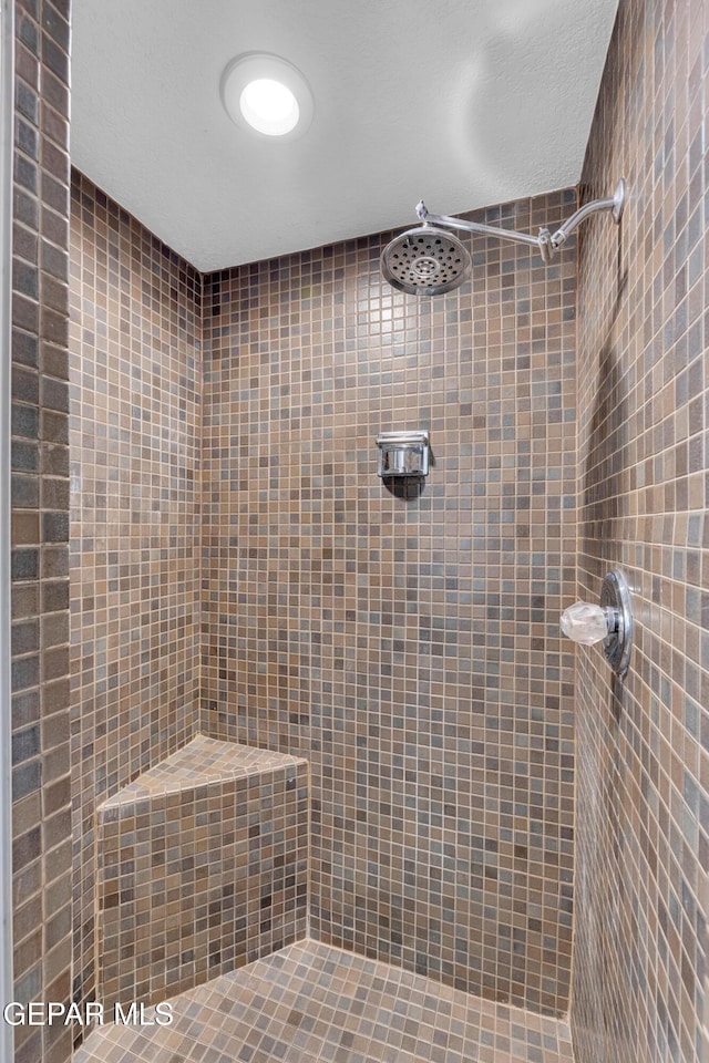 724 Gary Ln, El Paso, TX 79922 - bathroom featuring a tile shower