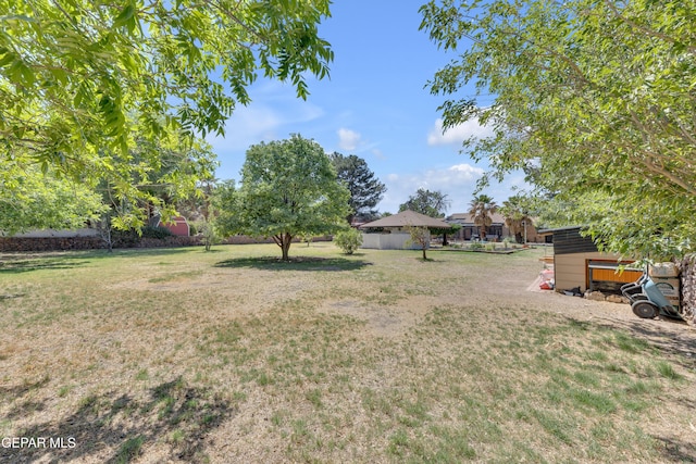 724 Gary Ln, El Paso, TX 79922 - view of grassy yard