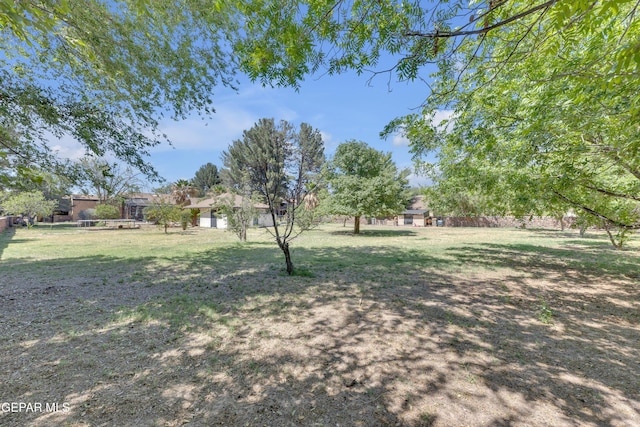 724 Gary Ln, El Paso, TX 79922 - view of yard
