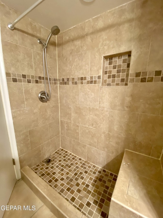 350 Thunderbird Dr Unit F45, El Paso, TX 79912 - bathroom with tiled shower