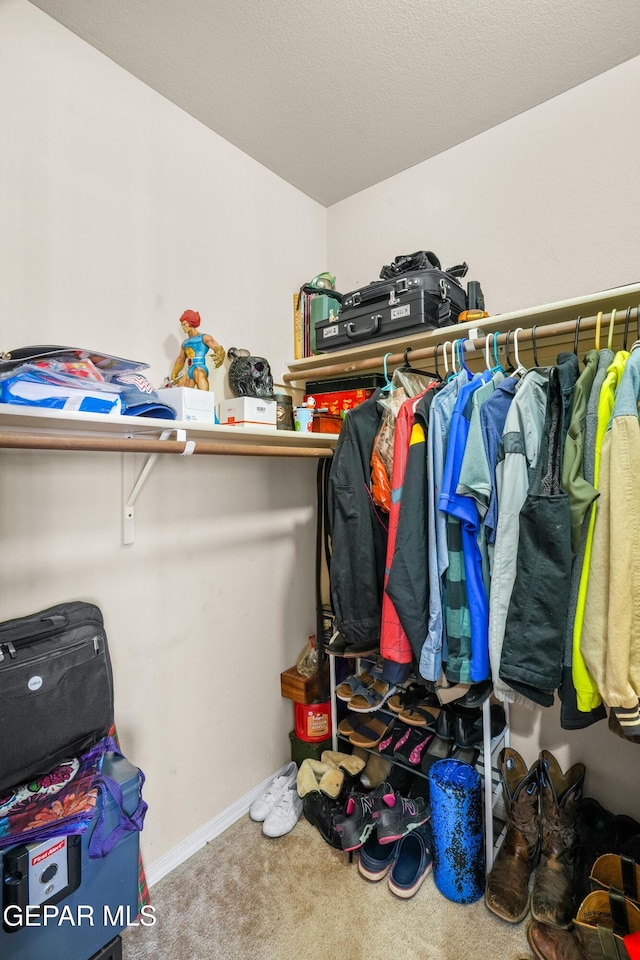 7009 Falling Leaf Cir, El Paso, TX 79934 - walk in closet with carpet floors