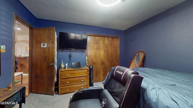 492 Country Oaks Dr, El Paso, TX 79932 - bedroom with carpet floors and a closet