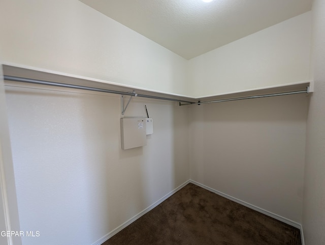 11740 Autumn Wheat Dr, El Paso, TX 79934 - walk in closet featuring dark carpet