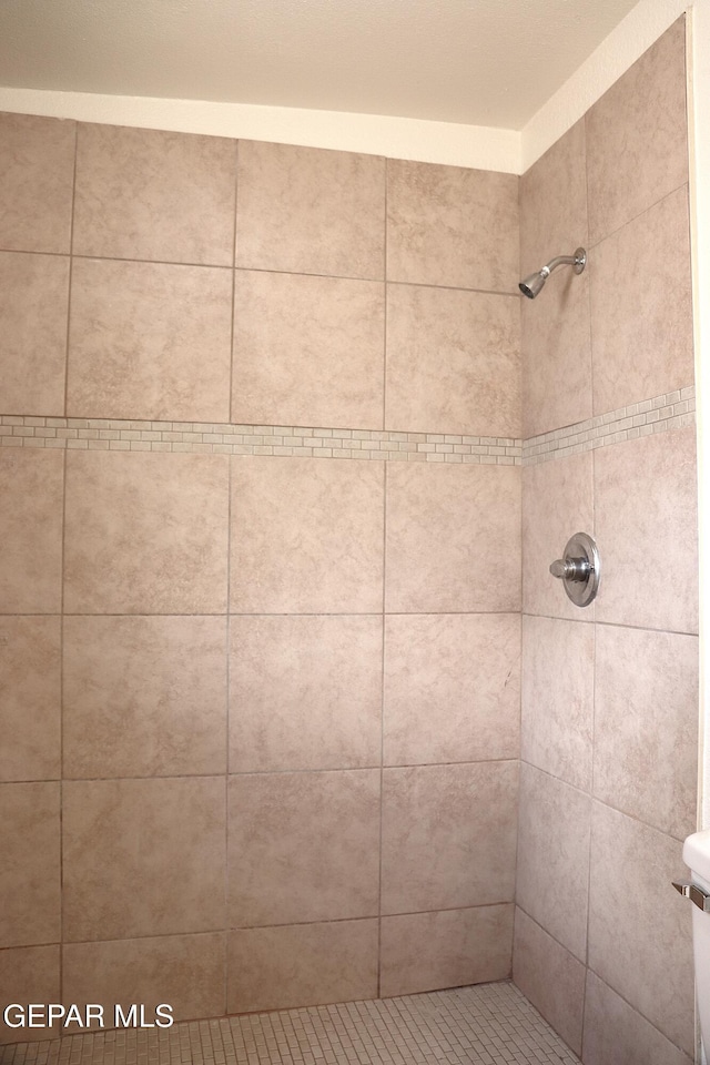 10544 Olga St, El Paso, TX 79924 - bathroom with a tile shower