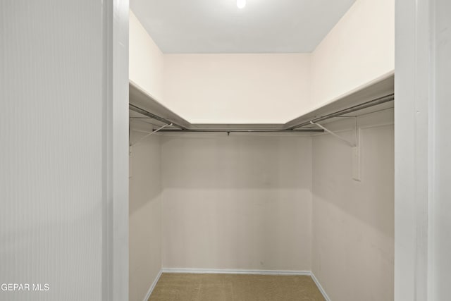 8213 Mineola Dr, El Paso, TX 79925 - spacious closet with carpet floors