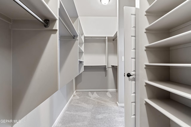 12287 Houghton Spgs, Horizon City, TX 79928 - spacious closet with carpet
