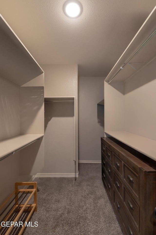 12301 Desert Heights Ct, El Paso, TX 79938 - walk in closet featuring carpet floors
