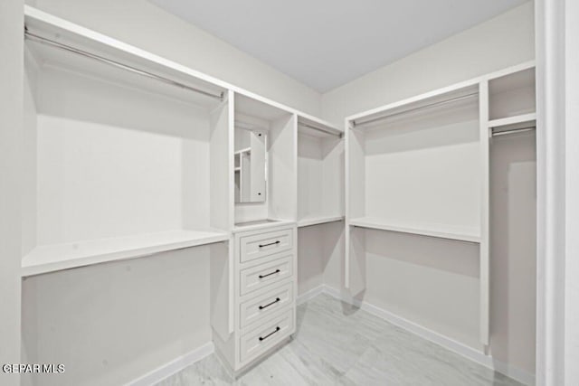 13391 Jeff Winton Dr, El Paso, TX 79928 - view of spacious closet