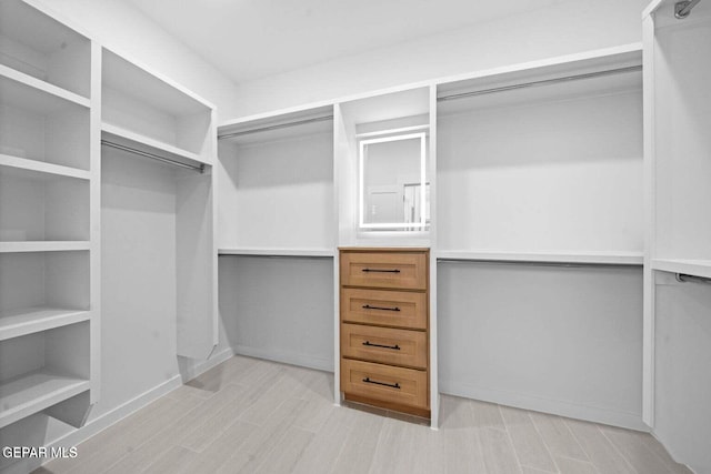 13399 Jeff Winton Dr, El Paso, TX 79928 - view of spacious closet