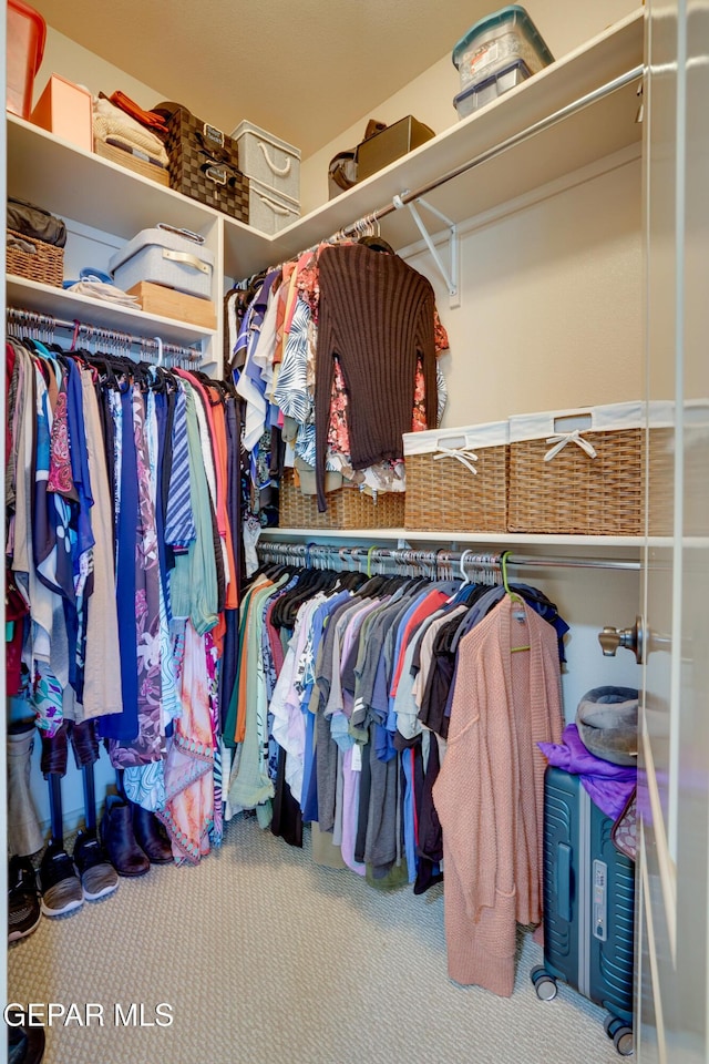 7301 Brays Landing Dr, El Paso, TX 79911 - spacious closet with carpet