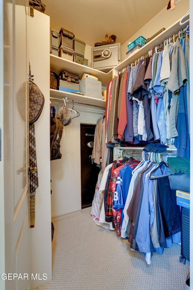 7301 Brays Landing Dr, El Paso, TX 79911 - spacious closet with carpet floors