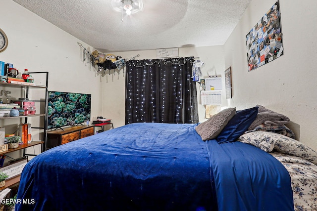 8957 Robert Dr Unit A & B, El Paso, TX 79904 - bedroom with a textured ceiling