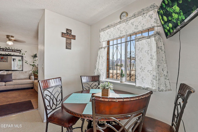 8957 Robert Dr Unit A & B, El Paso, TX 79904 - dining space featuring a textured ceiling