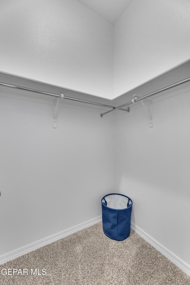 13404 Coldham St, El Paso, TX 79928 - spacious closet with carpet flooring
