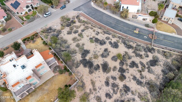 TBD S Trevino Rd, Santa Teresa, NM 88008 - photo 6