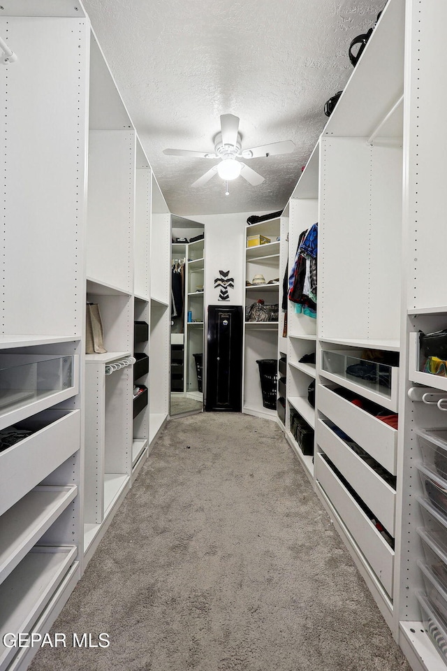 6008 Camino Alegre Dr, El Paso, TX 79912 - walk in closet featuring carpet floors and ceiling fan