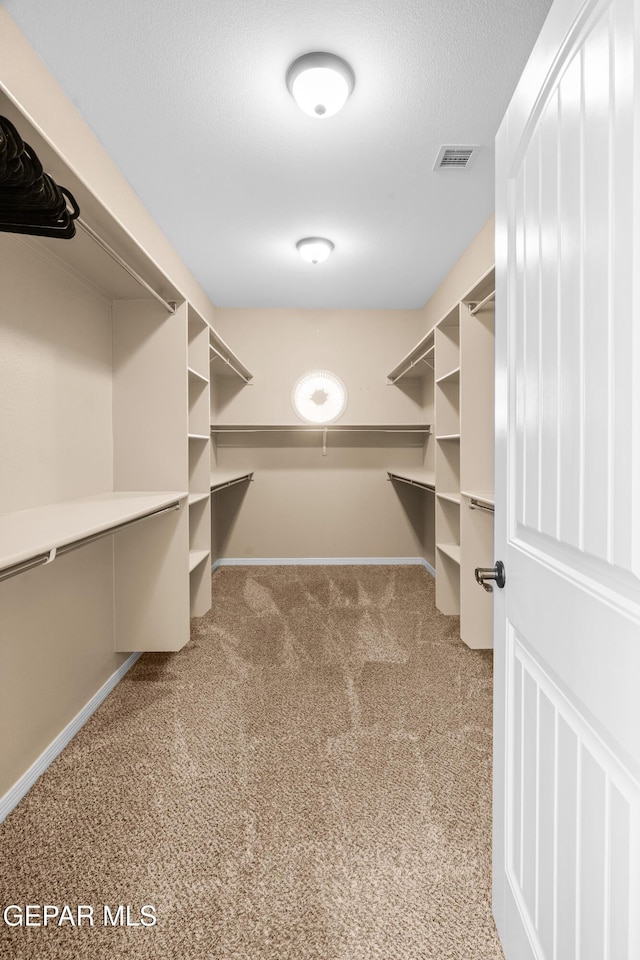14624 Long Shadow Ave, El Paso, TX 79938 - walk in closet featuring carpet flooring
