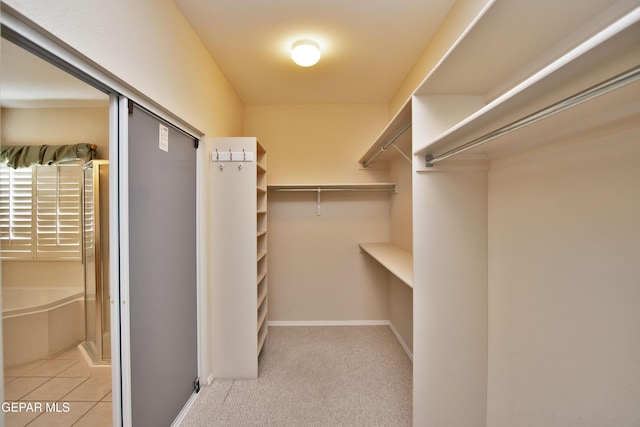 216 Desert Garden Dr, Santa Teresa, NM 88008 - view of spacious closet