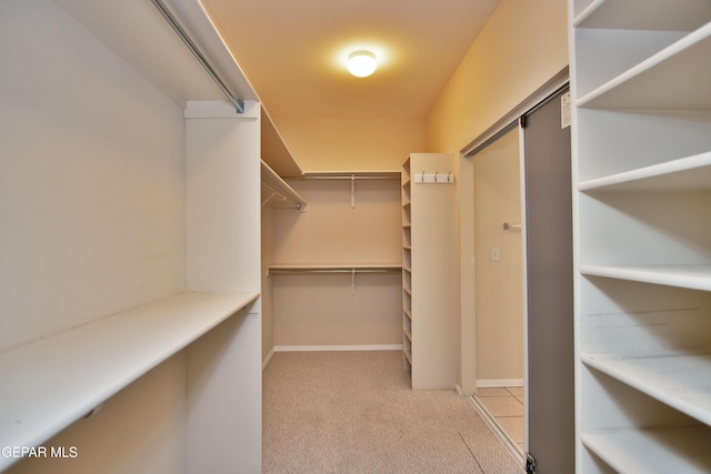 216 Desert Garden Dr, Santa Teresa, NM 88008 - walk in closet featuring light colored carpet