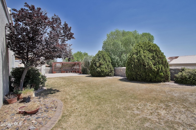 216 Desert Garden Dr, Santa Teresa, NM 88008 - view of grassy yard
